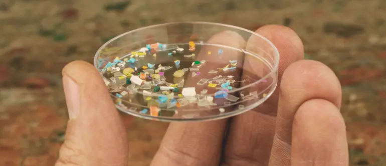 particules de plastique